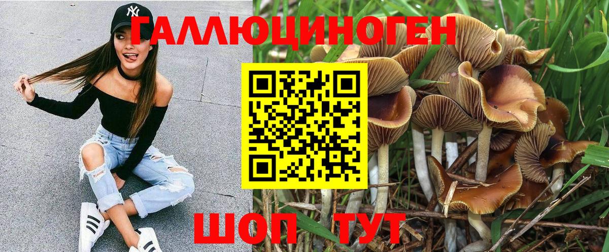 Отрадное  Псилоцибиновые грибы ЛСД  Псилоцибиновые грибы Magic Shrooms  наркота  Вход с VPN 